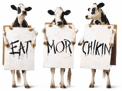 chien-dich-marketing-chik-fil-a-cows