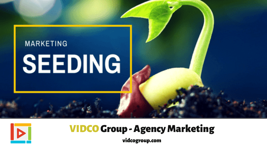 seeding-la-gi-tam-quan-trong-cua-seeding-trong-tong-the-marketing