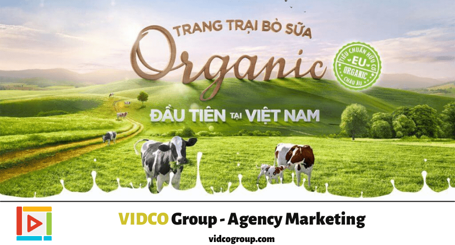 Nong-truong-bo-sua-Vinamilk-Organic-Milk-Farm