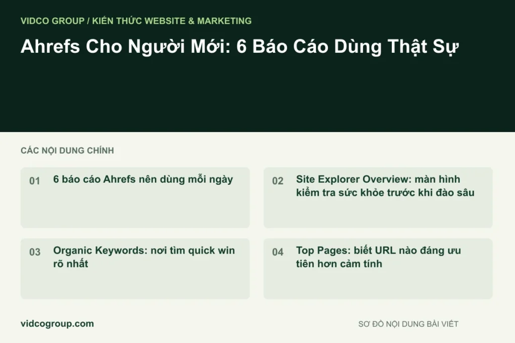 Ahrefs Cho Người Mới: 6 Báo Cáo Dùng Thật Sự