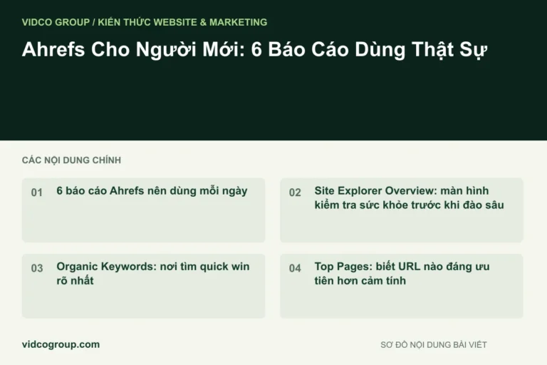 Ahrefs Cho Người Mới: 6 Báo Cáo Dùng Thật Sự