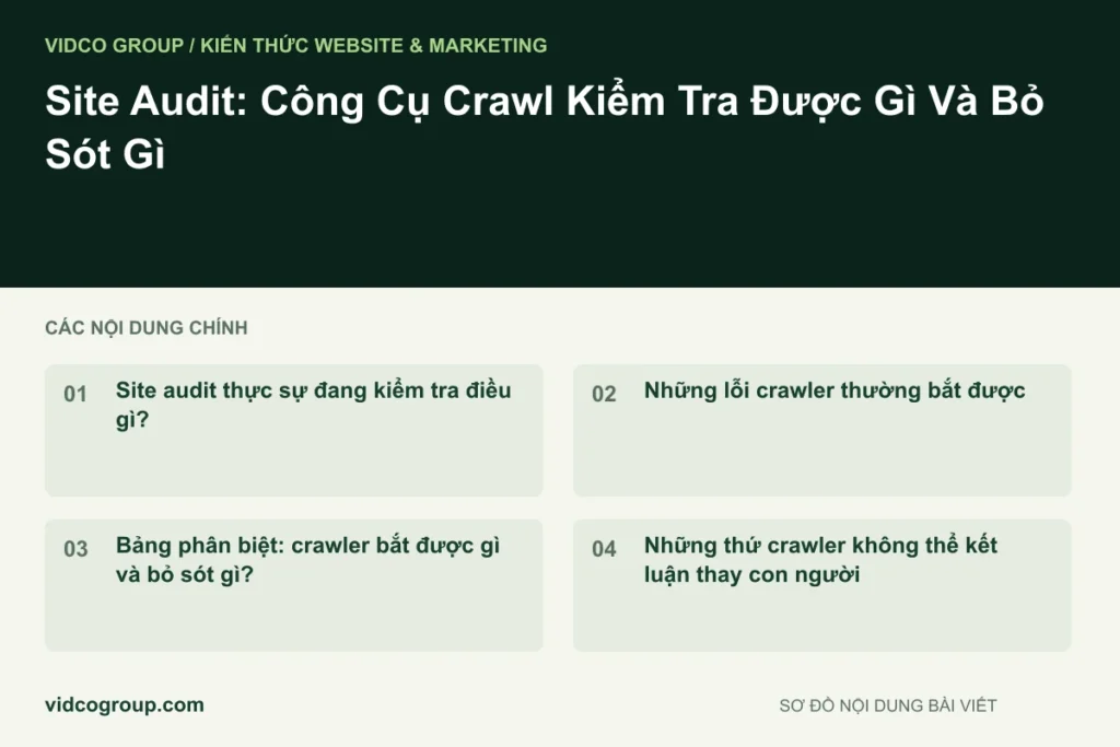 Site Audit: Công Cụ Crawl Kiểm Tra Được Gì Và Bỏ Sót Gì