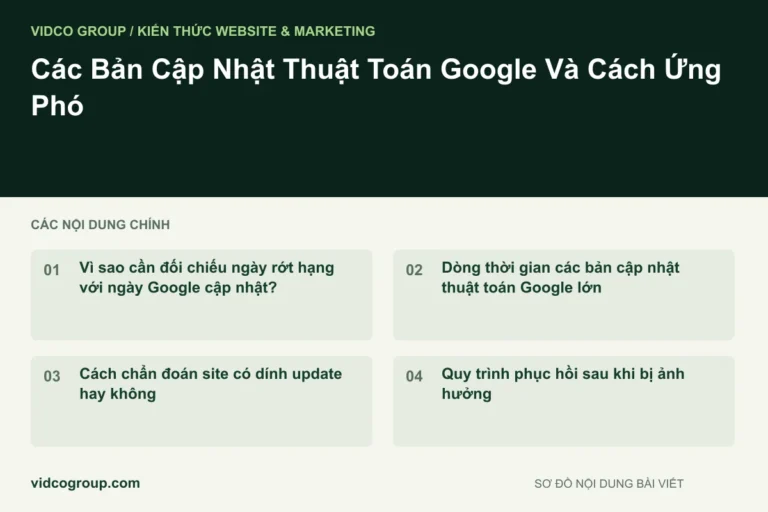 Các Bản Cập Nhật Thuật Toán Google Và Cách Ứng Phó